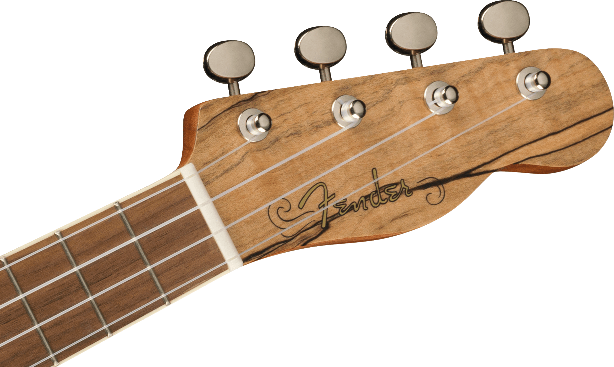 Zuma Exotic Concert Ukulele, Walnut Fingerboard, Spalted Maple追加画像 Zuma Exotic Concert Ukulele, Walnut Fingerboard, Spalted Maple追加画像