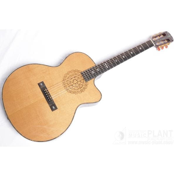 Aria-アコースティックギターThe Sandpiper SP-CST