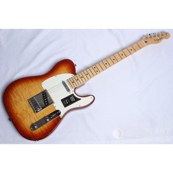 Limited Edition Player Telecaster Plus Top, Maple Fingerboard, Sienna Sunburstサムネイル