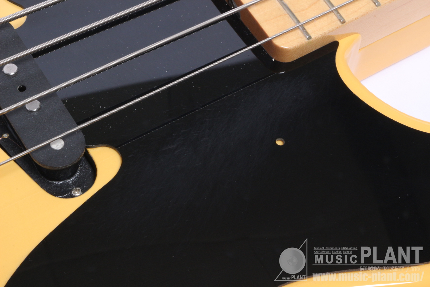 Made in Japan Traditional Original 50s Precision Bass, Maple Fingerboard, Butterscotch Blonde追加画像