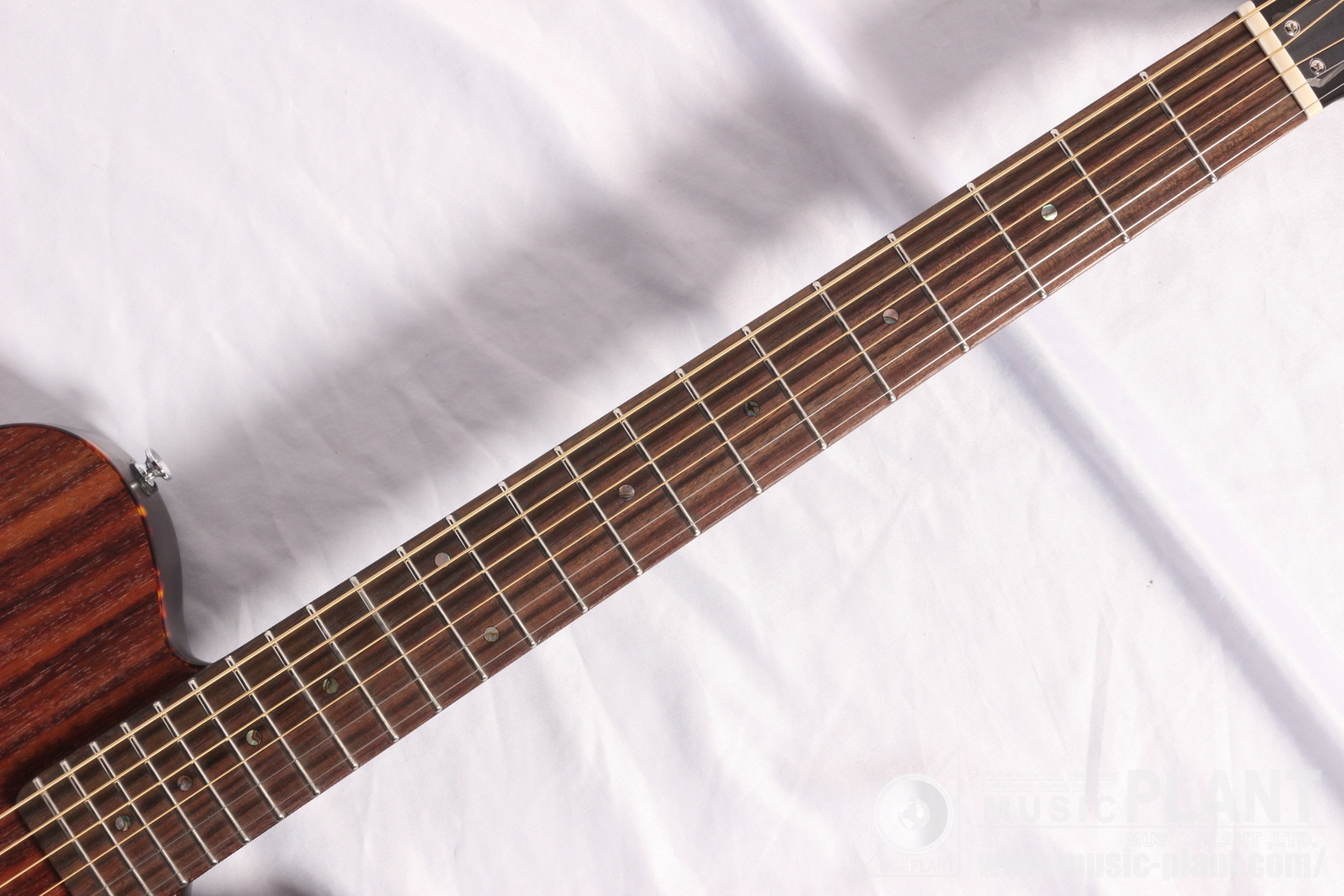SCHECTER OL-FL(アクティブ） アコースティック ローズウッド