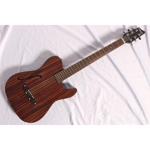 SCHECTER-エレクトリックアコースティックギターOL-FL/RNT