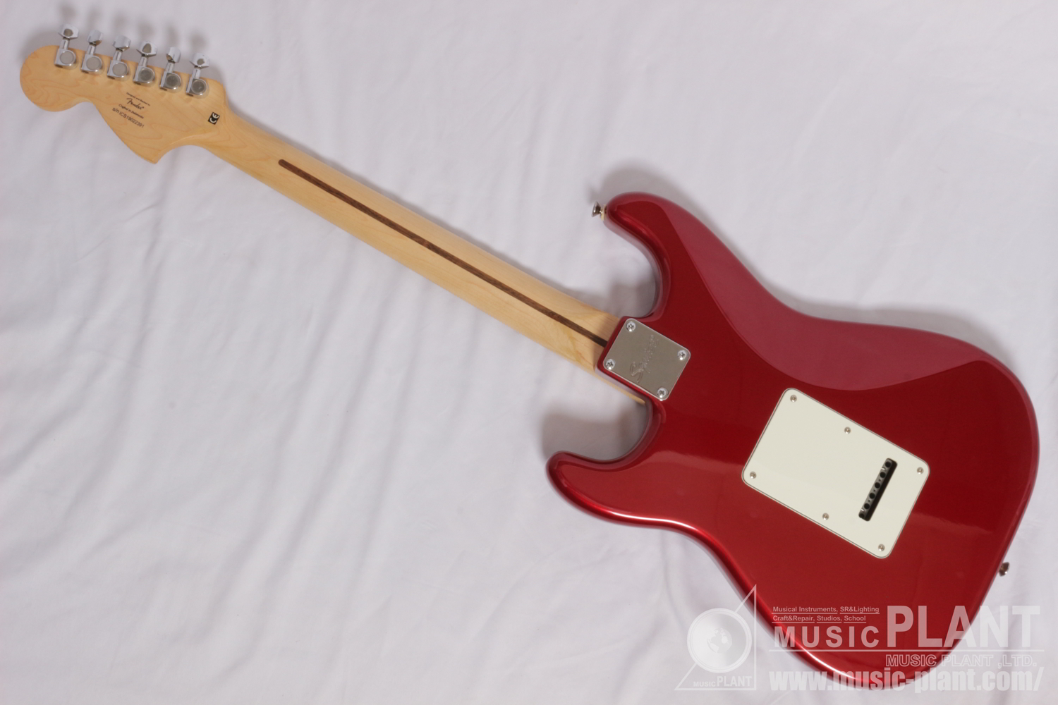 Standard Stratocaster, Maple Fingerboard, Candy Apple Red背面画像