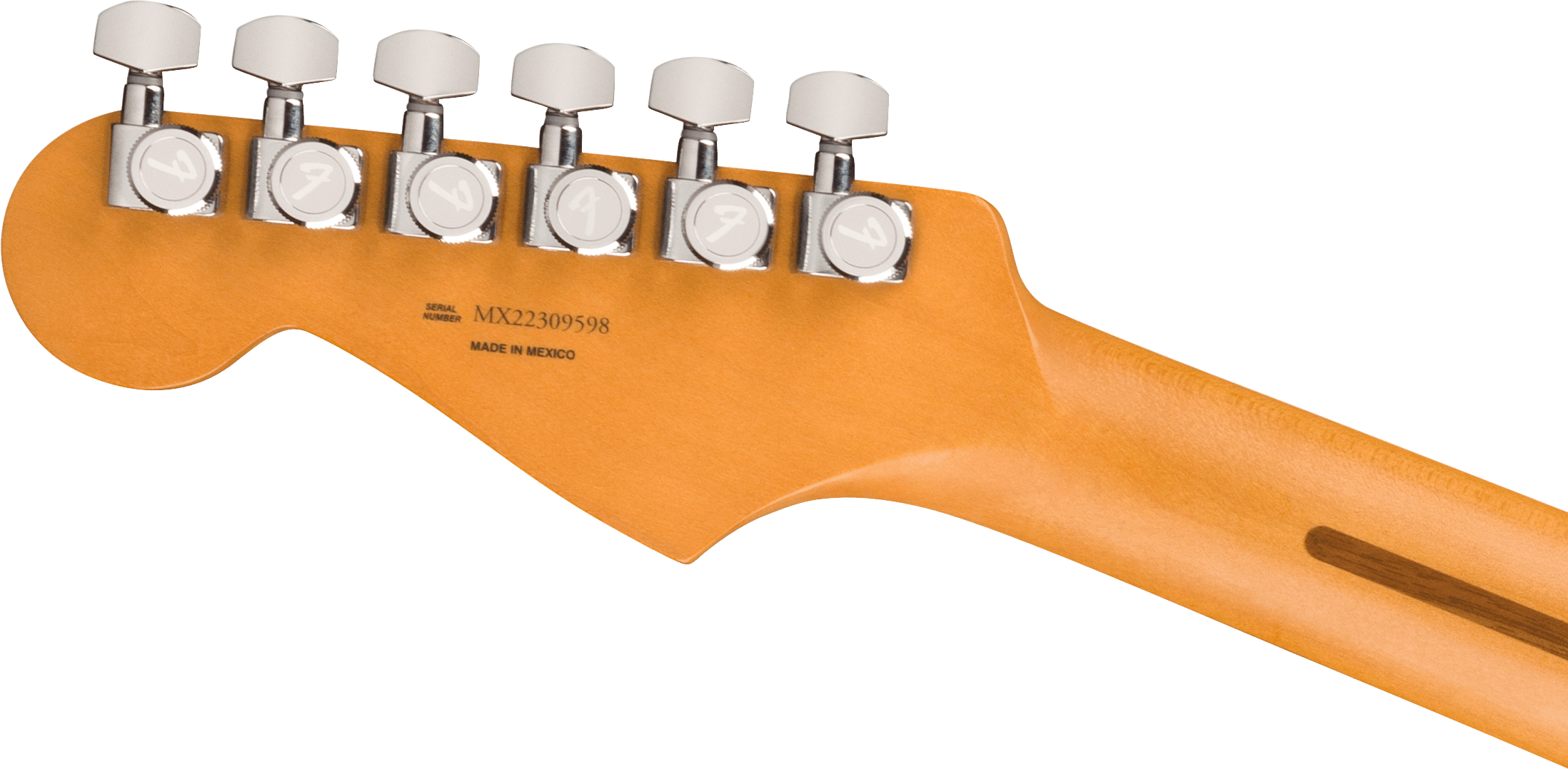 Player Plus Stratocaster®, Pau Ferro Fingerboard, Sienna Sunburst追加画像 Player Plus Stratocaster®, Pau Ferro Fingerboard, Sienna Sunburst追加画像