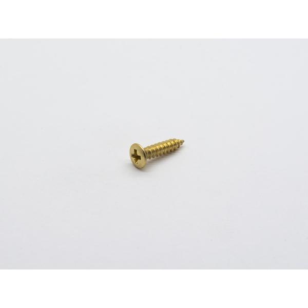 ESP-ウラパネルビス 2.6x12 SET (6) Gold