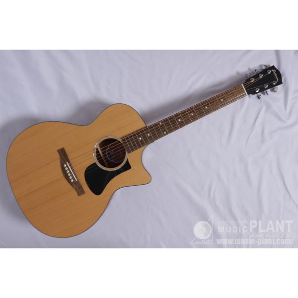 EASTMAN-アコースティックギター
PCH1-GACE