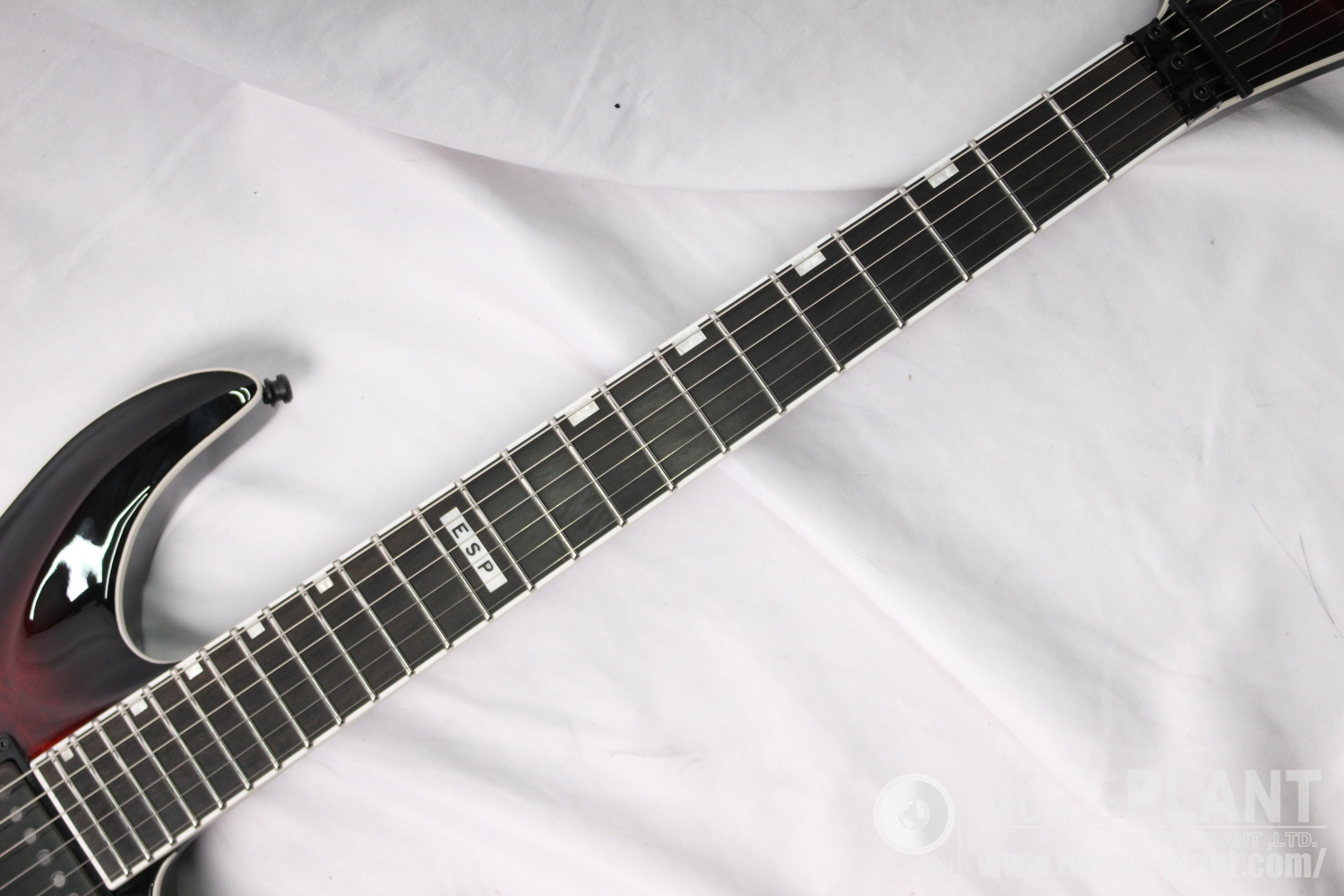 HORIZON FR-II See Thru Black Cherry Sunburst追加画像 HORIZON FR-II See Thru Black Cherry Sunburst追加画像
