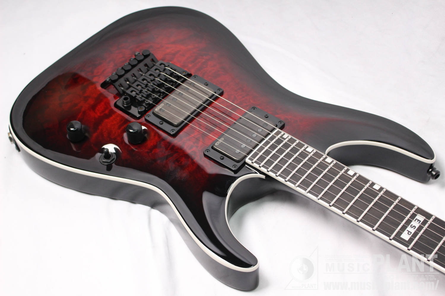 HORIZON FR-II See Thru Black Cherry Sunburst追加画像 HORIZON FR-II See Thru Black Cherry Sunburst追加画像