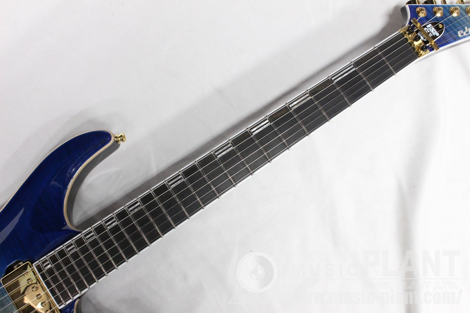 EDWARDS E-HORIZONシリーズ エレキギターEDWARDS E-HORIZON-CTM 50TH