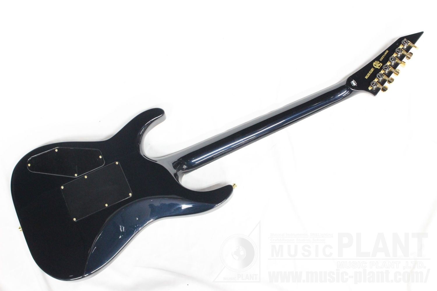 EDWARDS E-HORIZONシリーズ エレキギターEDWARDS E-HORIZON-CTM 50TH