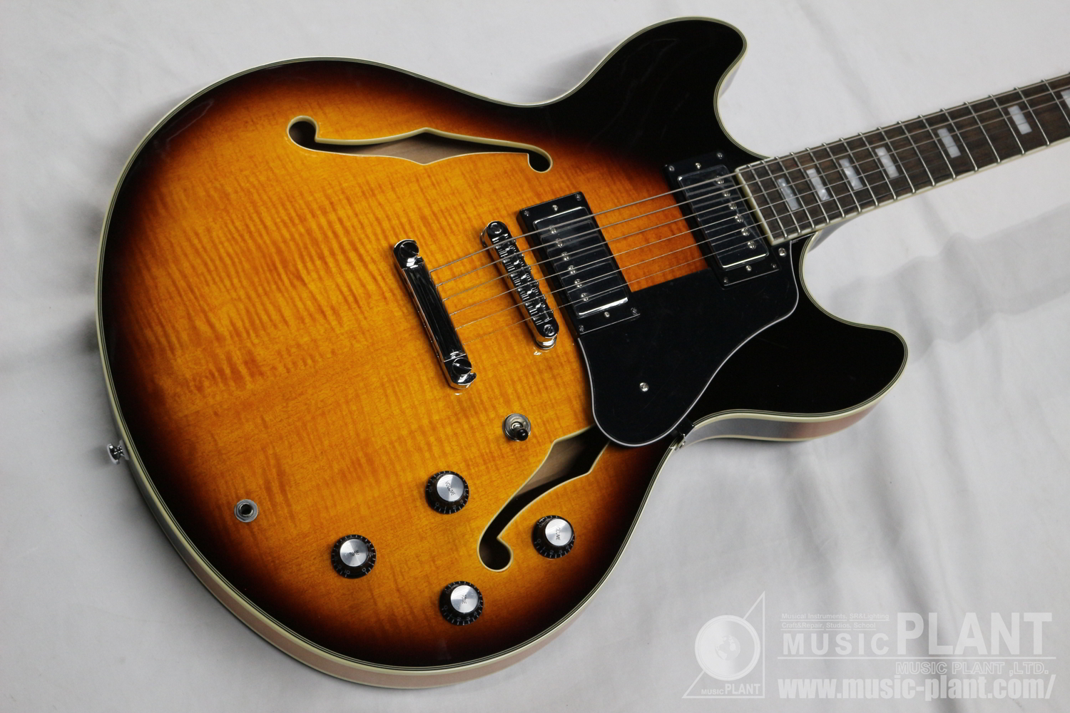 H7 Vintage Sunburst追加画像 H7 Vintage Sunburst追加画像