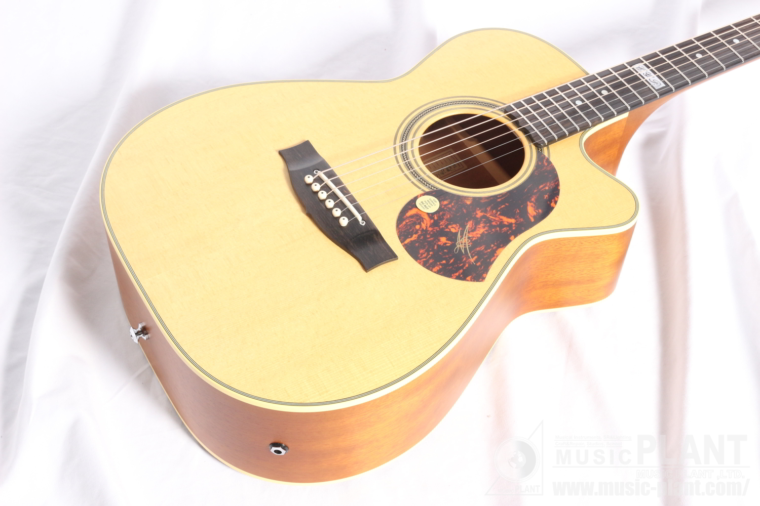 EBG808CTE Tommy Emmanuel Signature追加画像 EBG808CTE Tommy Emmanuel Signature追加画像