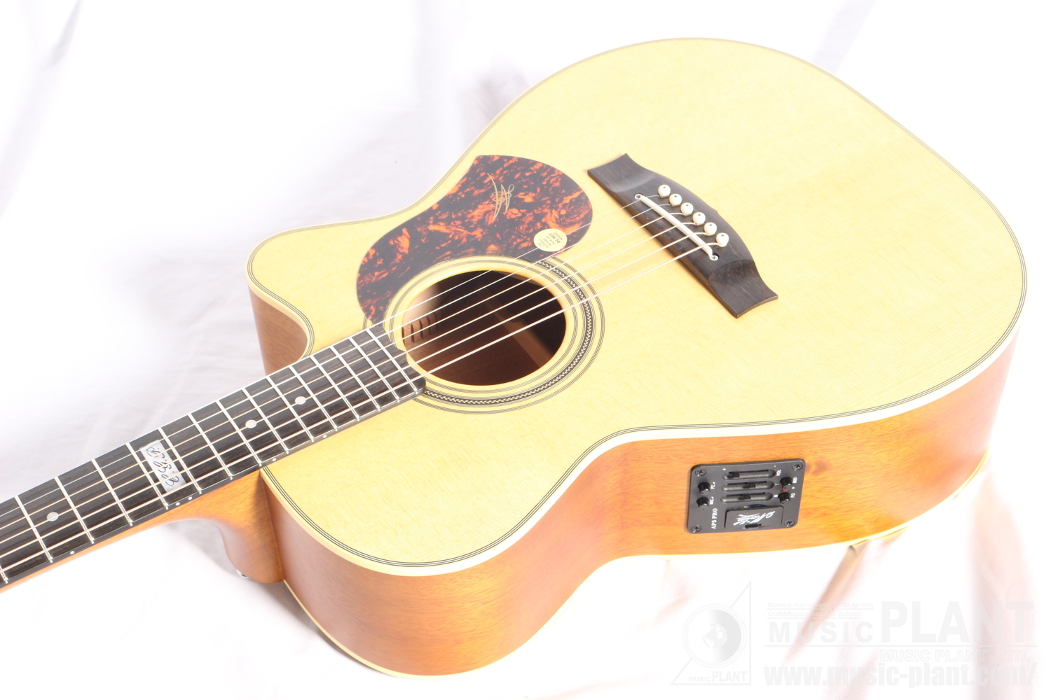 EBG808CTE Tommy Emmanuel Signature追加画像 EBG808CTE Tommy Emmanuel Signature追加画像