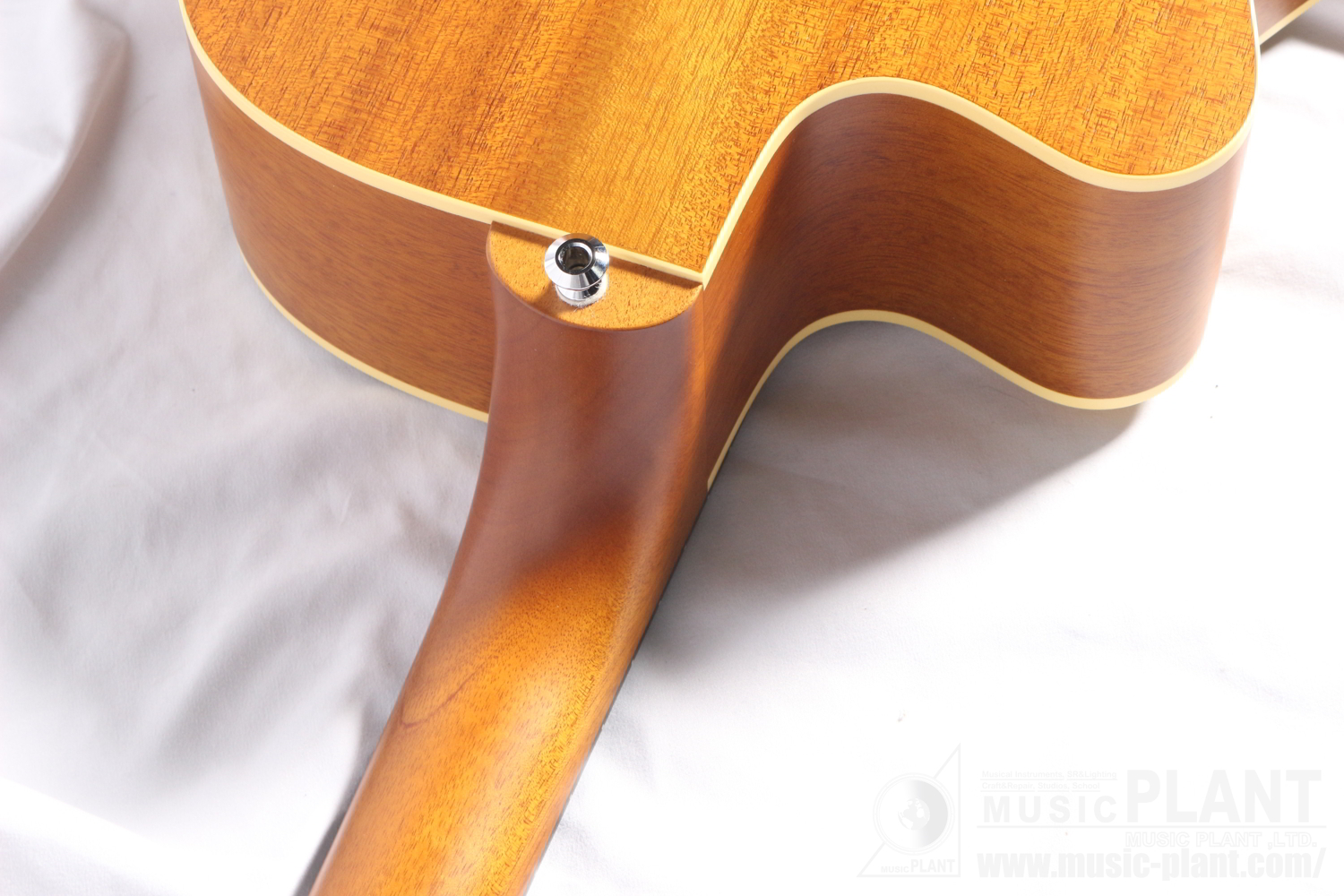 EBG808CTE Tommy Emmanuel Signature追加画像 EBG808CTE Tommy Emmanuel Signature追加画像