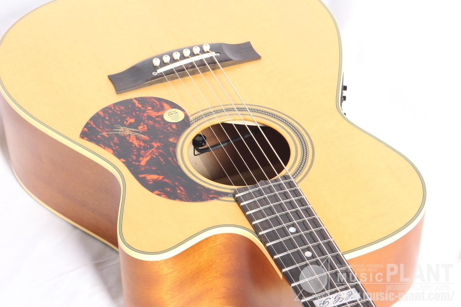 EBG808CTE Tommy Emmanuel Signature追加画像 EBG808CTE Tommy Emmanuel Signature追加画像