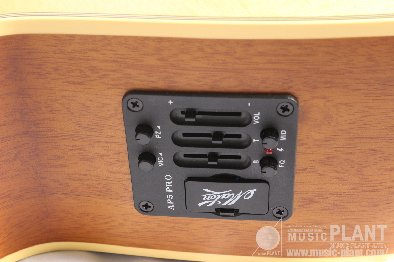 EBG808CTE Tommy Emmanuel Signature追加画像 EBG808CTE Tommy Emmanuel Signature追加画像