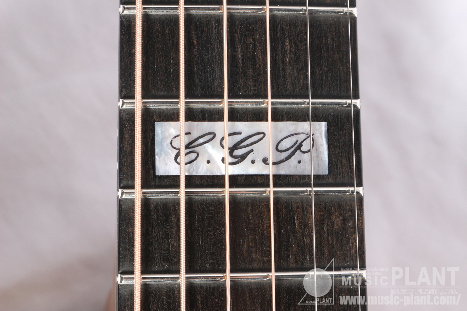 EBG808CTE Tommy Emmanuel Signature追加画像 EBG808CTE Tommy Emmanuel Signature追加画像