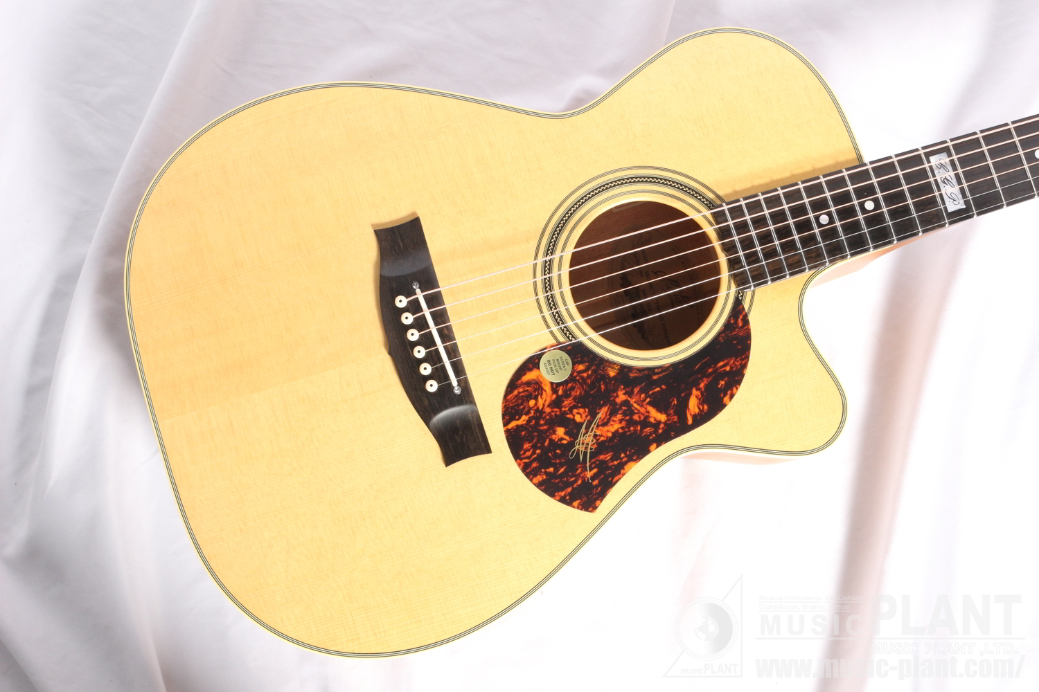 EBG808CTE Tommy Emmanuel Signature追加画像 EBG808CTE Tommy Emmanuel Signature追加画像