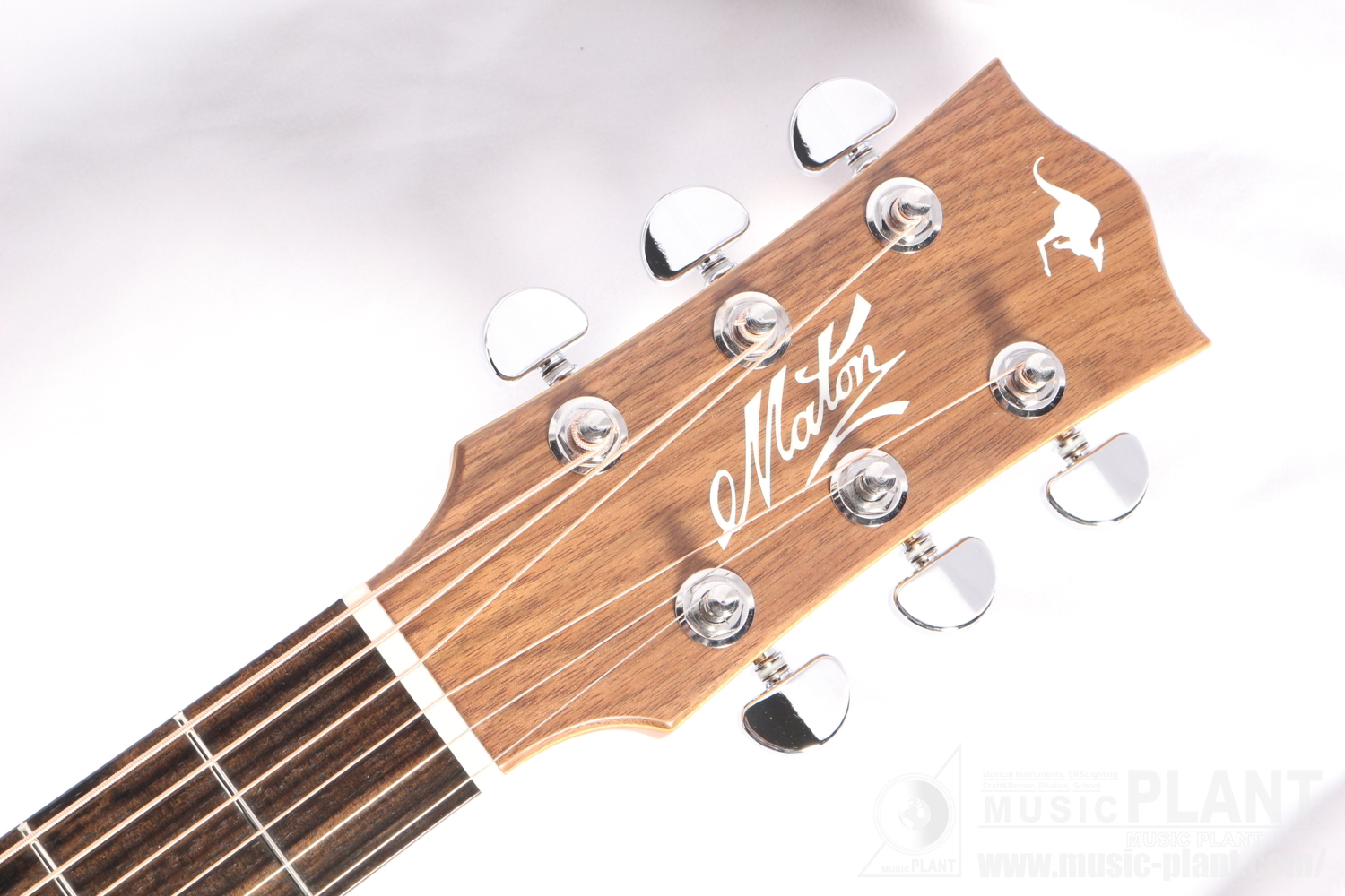 EBG808CTE Tommy Emmanuel Signatureヘッド画像 EBG808CTE Tommy Emmanuel Signatureヘッド画像