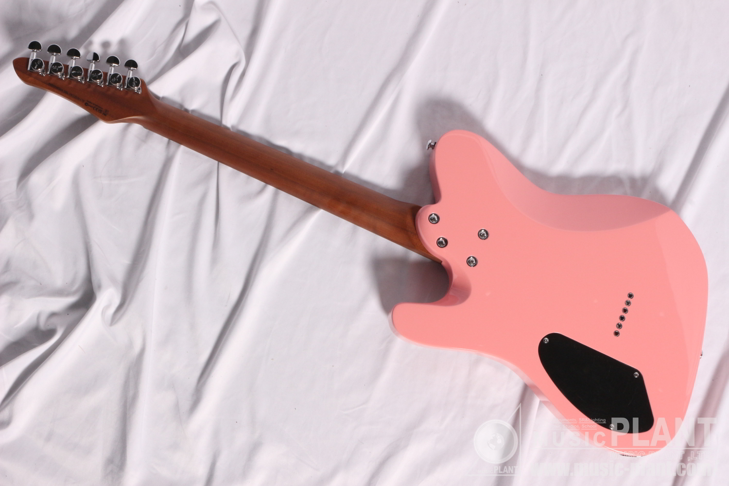 Thicket Standard Gloss Pastel Pink背面画像 Thicket Standard Gloss Pastel Pink背面画像